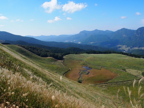 b0039898_16124465.jpg
