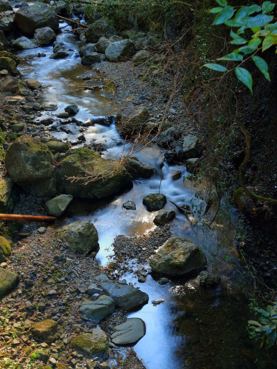 e0009009_22442400.jpg