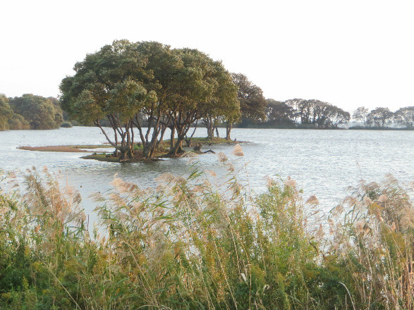 d0160611_13480858.jpg