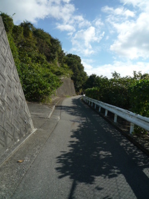f0111015_16502115.jpg