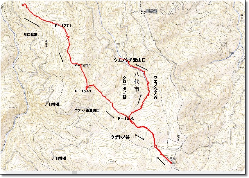 f0193521_1759178.jpg