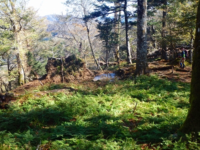 f0193521_18291090.jpg