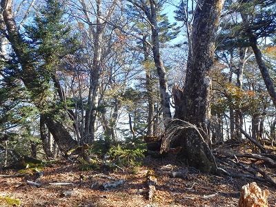 f0193521_18301790.jpg