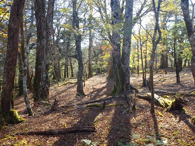 f0193521_1831397.jpg