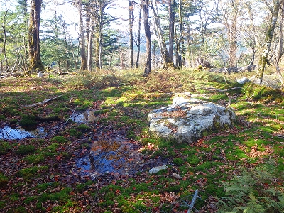 f0193521_19542567.jpg