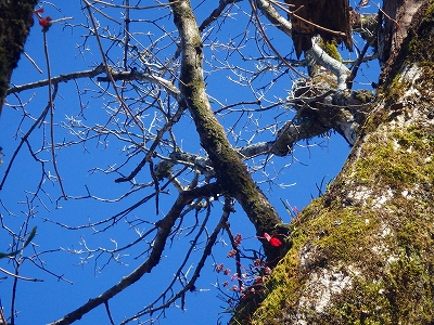 f0193521_2004591.jpg