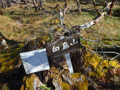 f0193521_201362.jpg