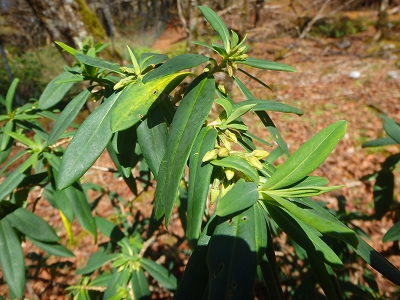 f0193521_2024639.jpg