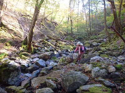 f0193521_20471136.jpg