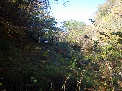 f0193521_20561746.jpg