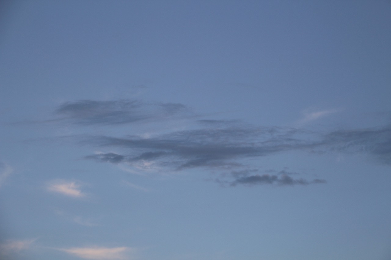 b0162728_19501533.jpg