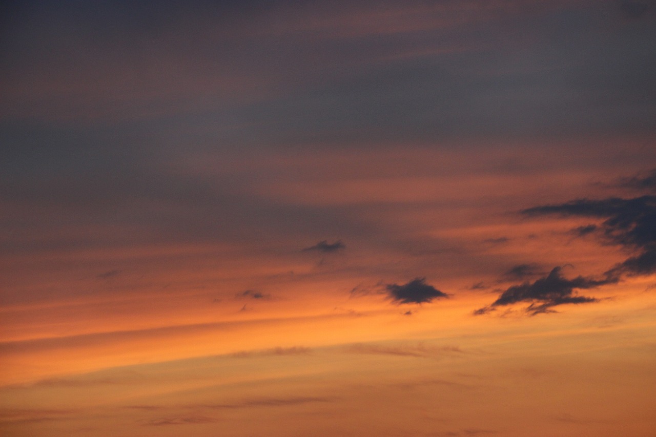 b0162728_1950296.jpg