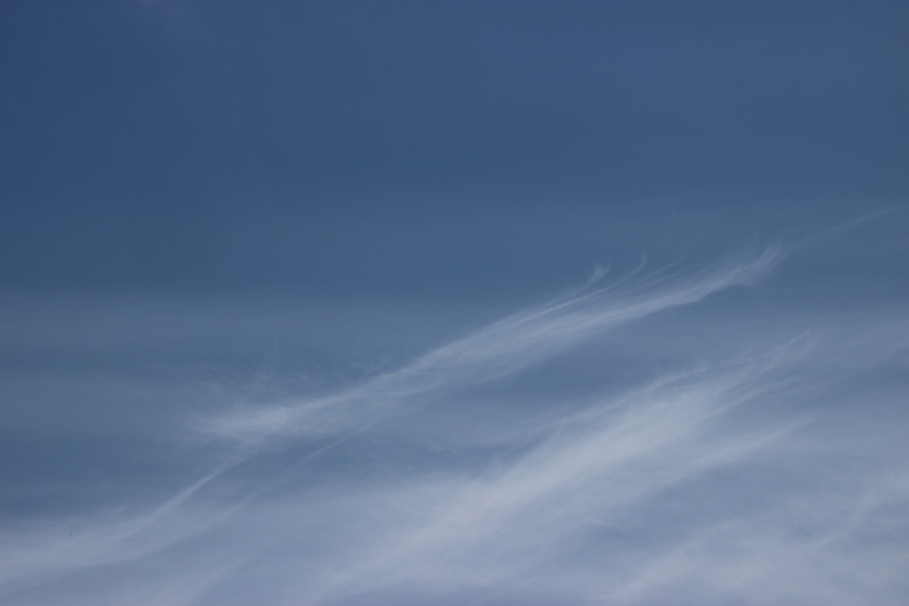 b0162728_19511070.jpg