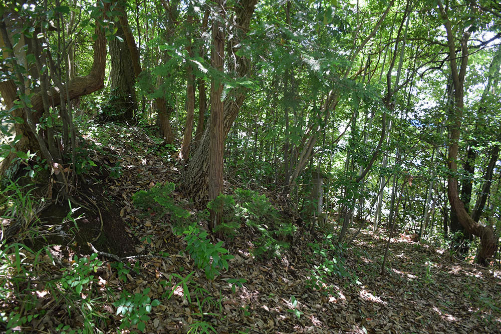 e0158128_19404172.jpg