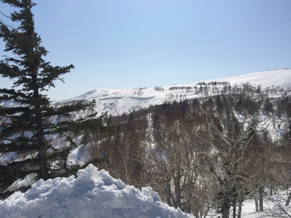 f0209434_10271999.jpg