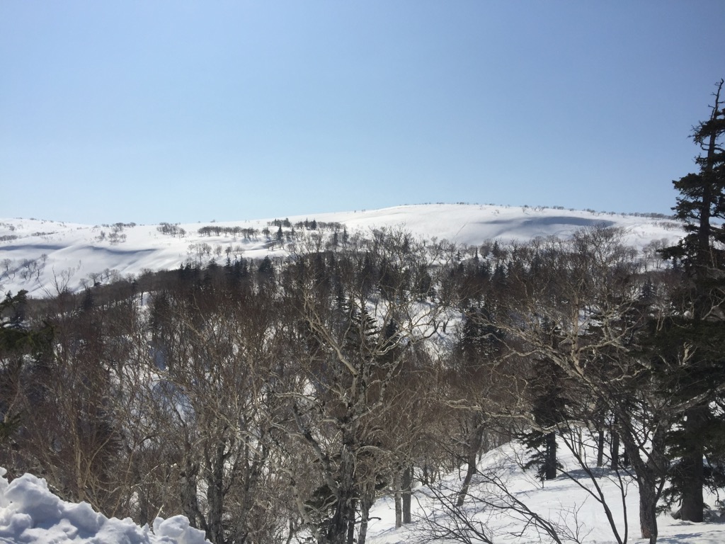 f0209434_1027358.jpg
