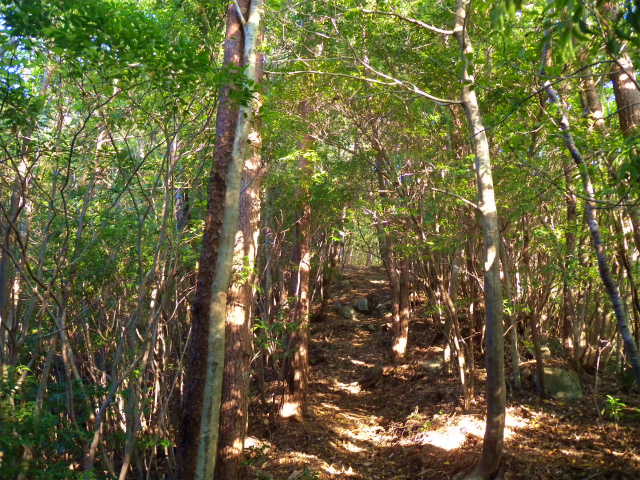 e0272335_1738077.jpg