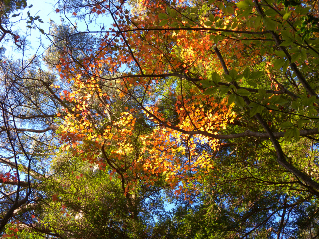 e0272335_17453014.jpg