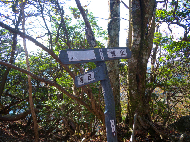 e0272335_17465476.jpg