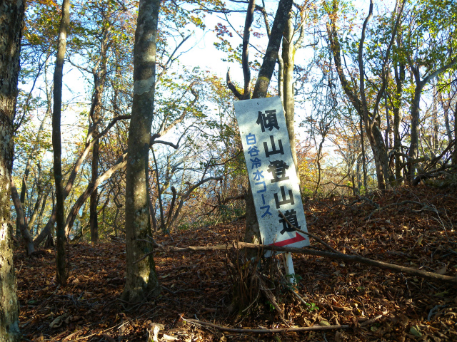 e0272335_17491321.jpg