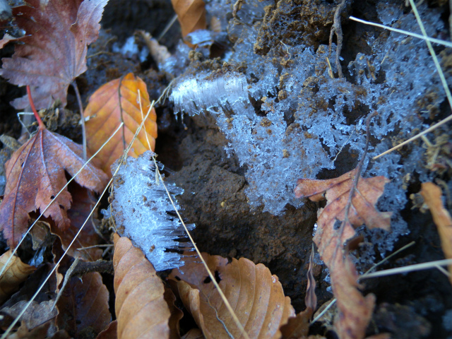 e0272335_1752116.jpg
