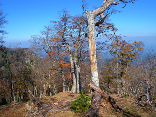 e0272335_1811414.jpg