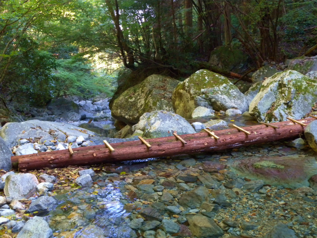 e0272335_18491957.jpg