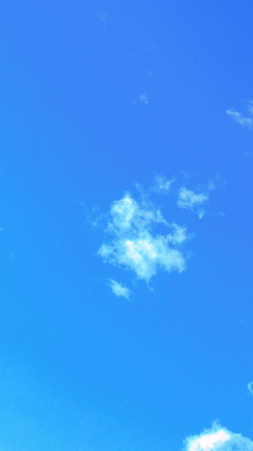 c0117936_10391753.jpg