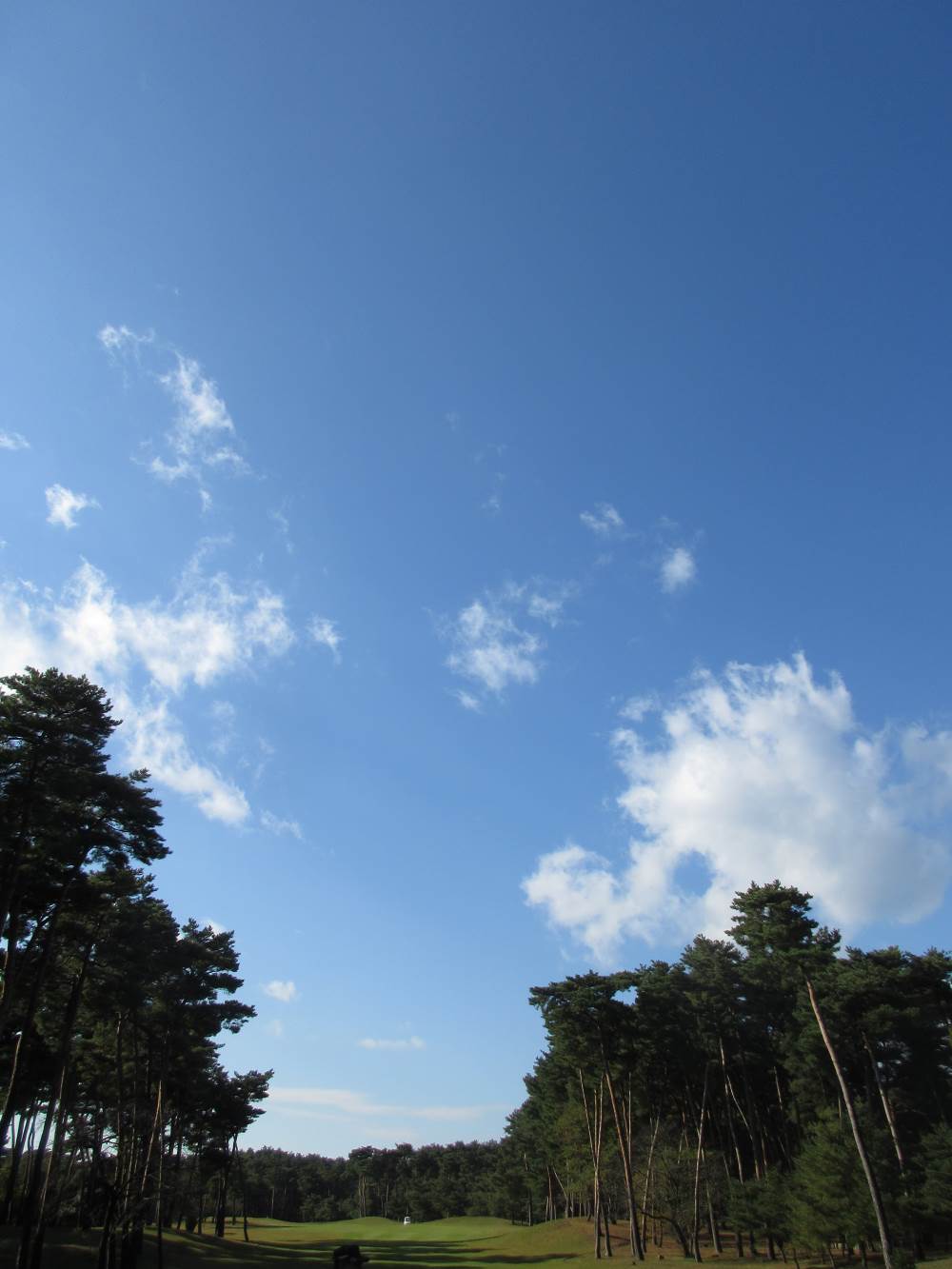 c0117936_1039330.jpg