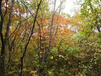 b0312438_20033814.jpg