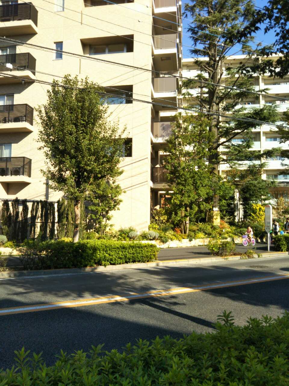 b0031140_15322951.jpg