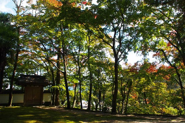 b0149340_20225385.jpg