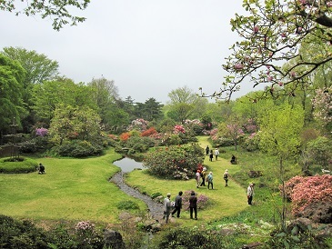 e0011145_20145672.jpg