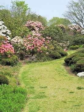 e0011145_20153267.jpg