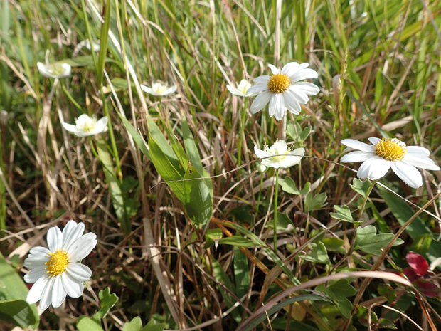 f0214649_20174980.jpg