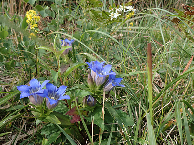 f0214649_55605.jpg