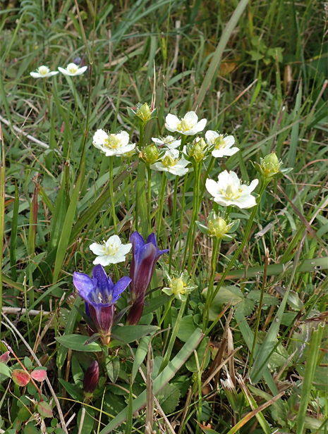 f0214649_5565233.jpg