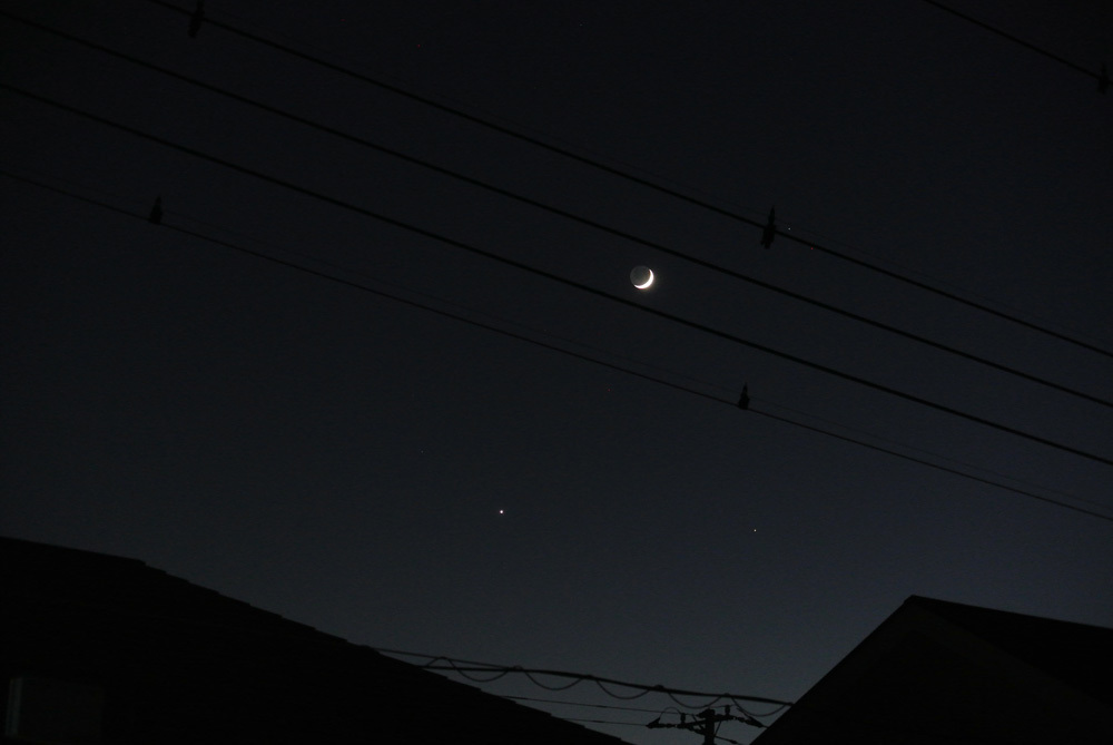 c0350853_18155201.jpg