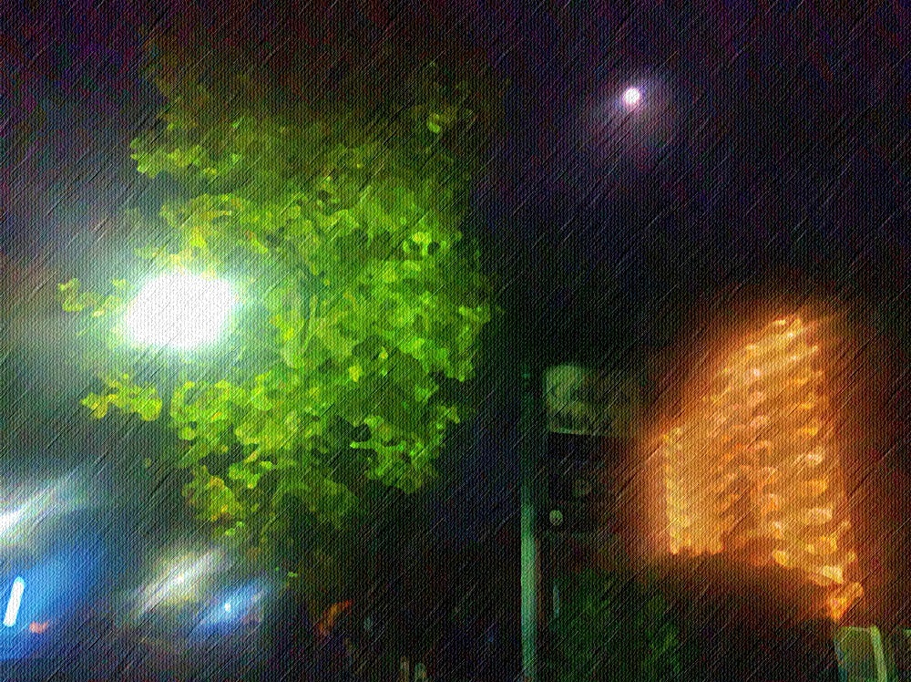 d0039059_16575534.jpg