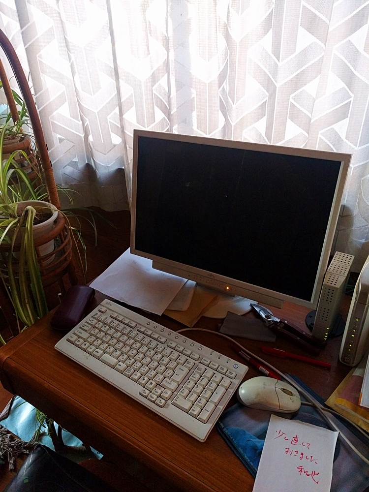 d0039059_17534464.jpg
