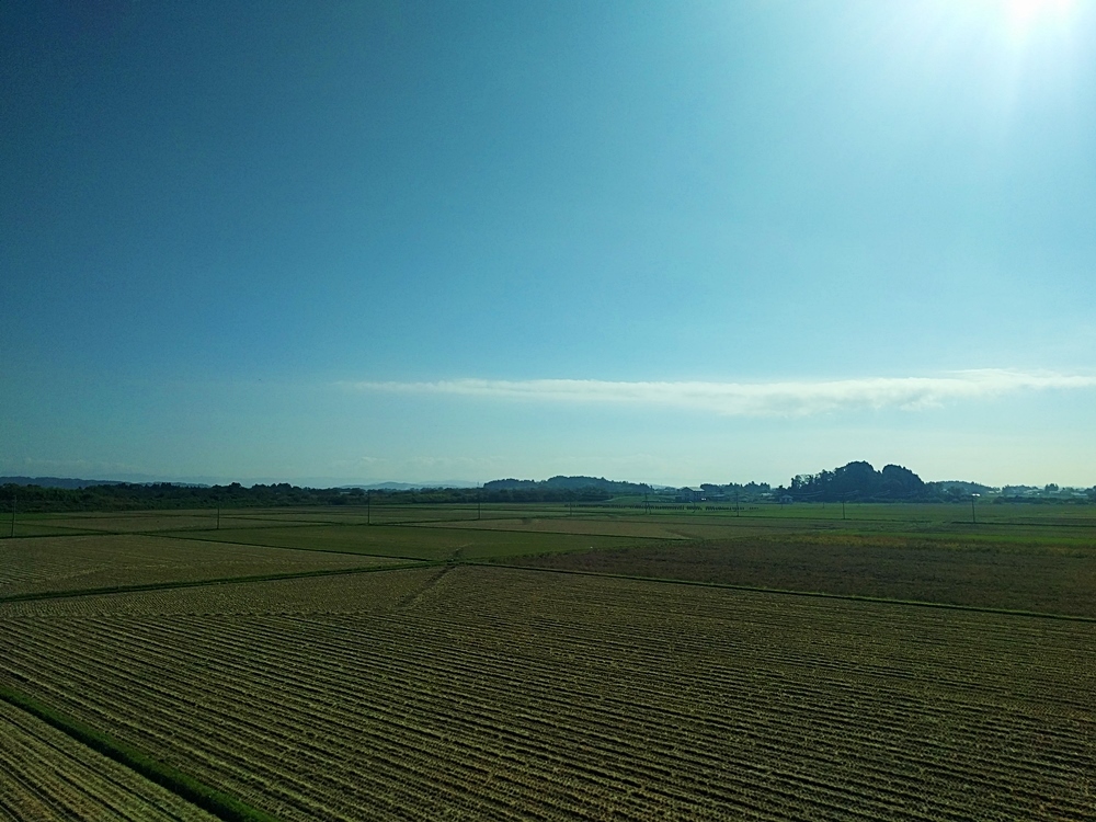 d0039059_18231329.jpg