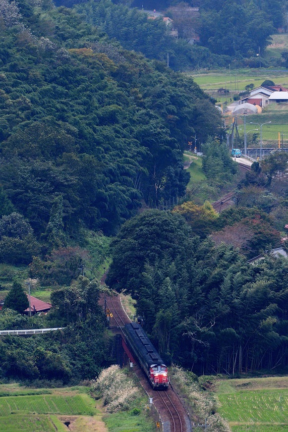 d0336159_11513815.jpg