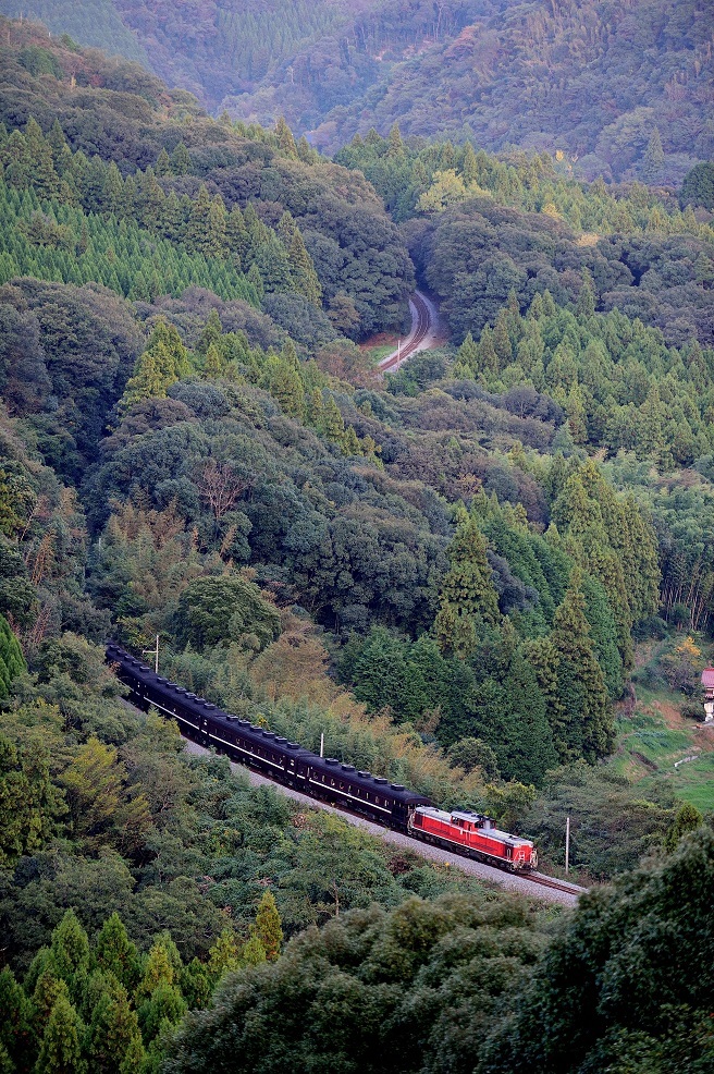 d0336159_11513832.jpg
