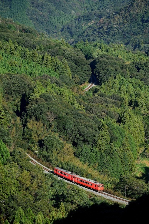 d0336159_12120045.jpg