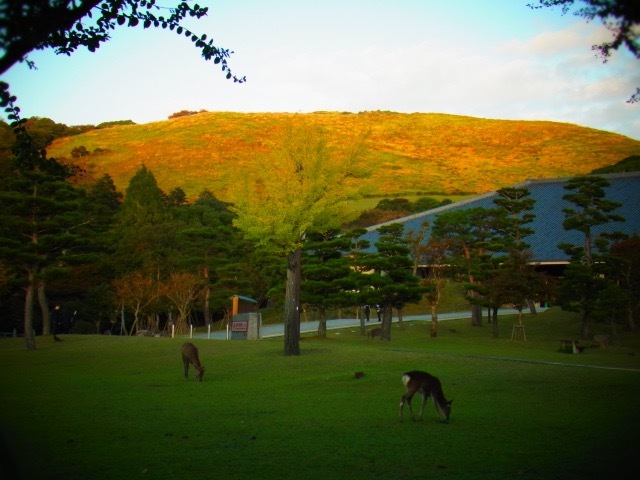 b0238760_11242059.jpg