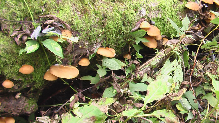 b0208961_12444449.jpg