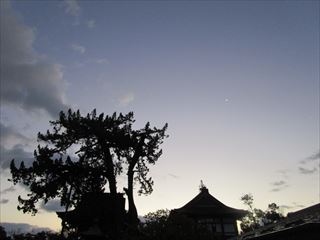 d0045362_921582.jpg