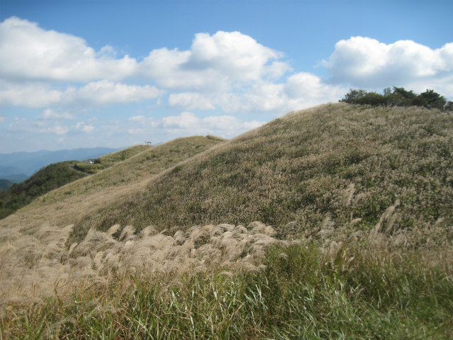 c0219866_17312583.jpg