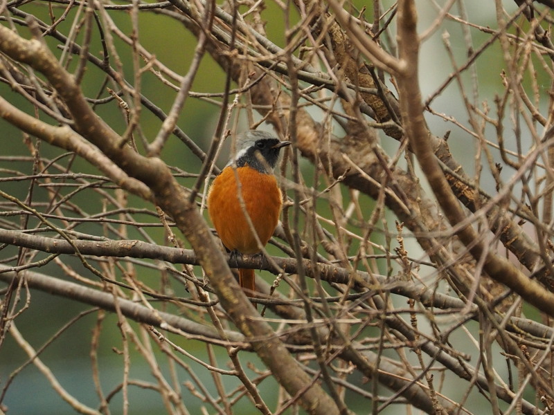 f0208666_2214478.jpg
