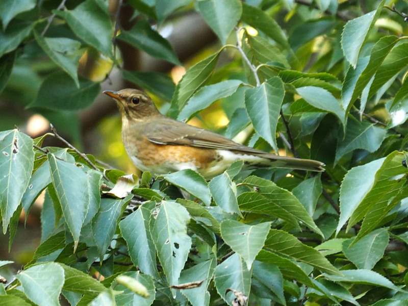 f0208666_237249.jpg